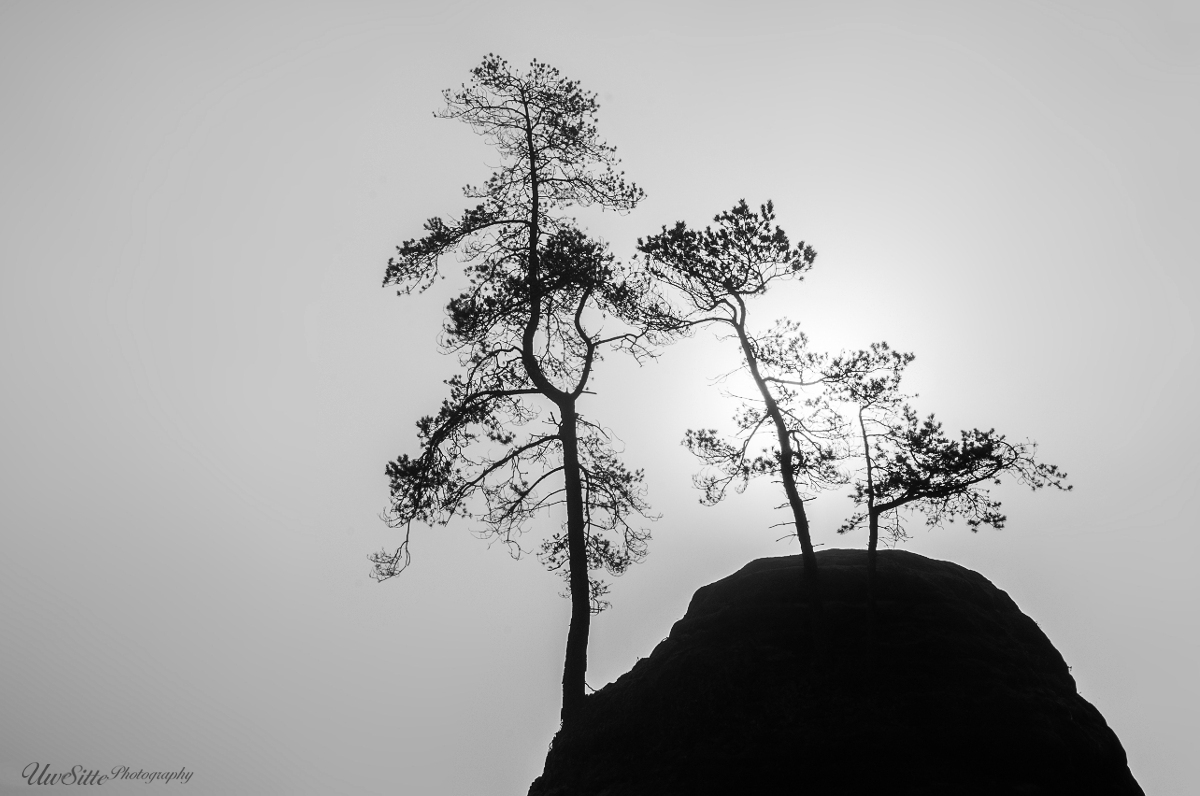 Silhouetten im Gegenlicht