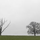 Silhouetten im Morgennebel