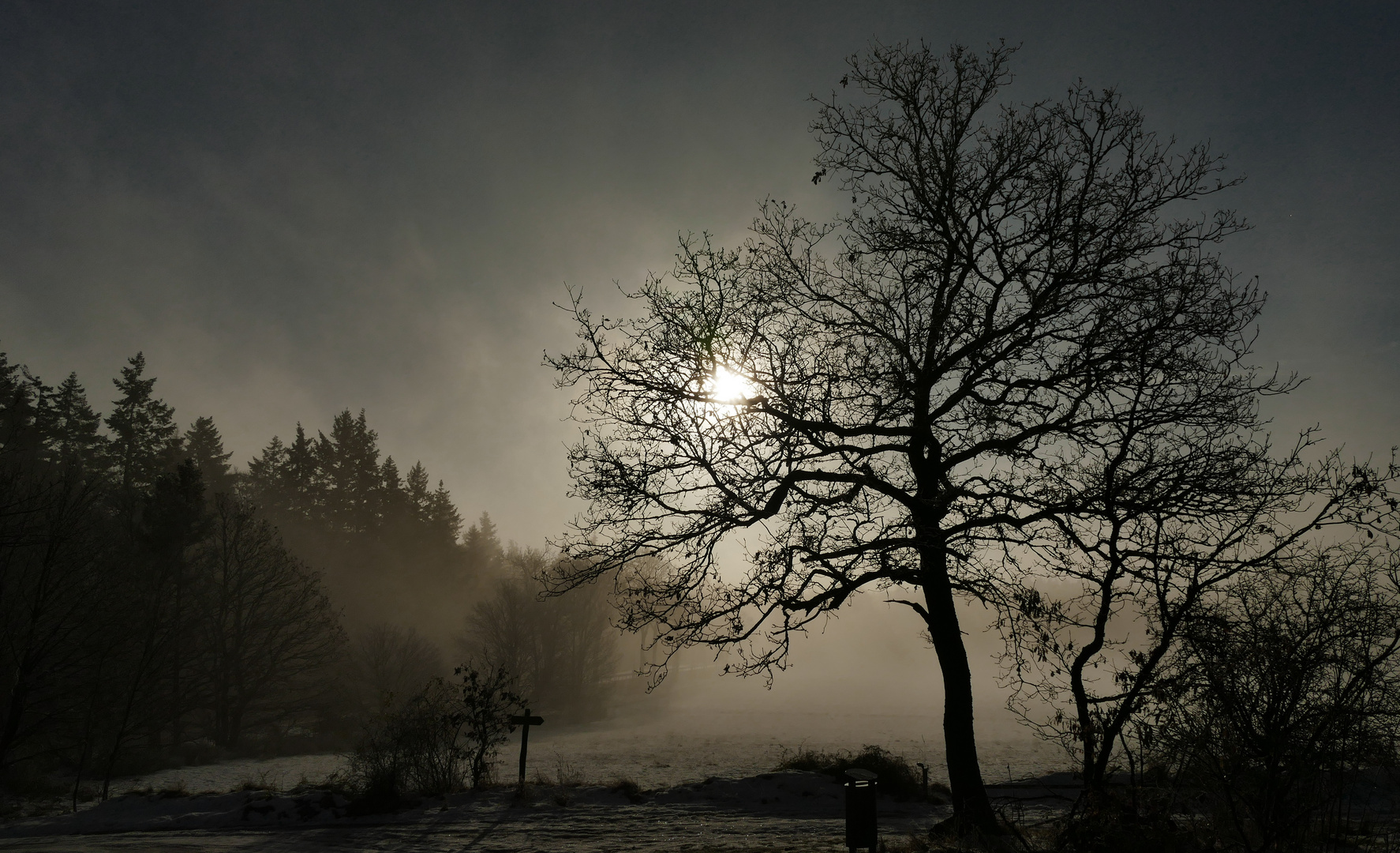 Silhouetten im Nebellicht