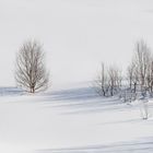 Silhouetten im Schnee