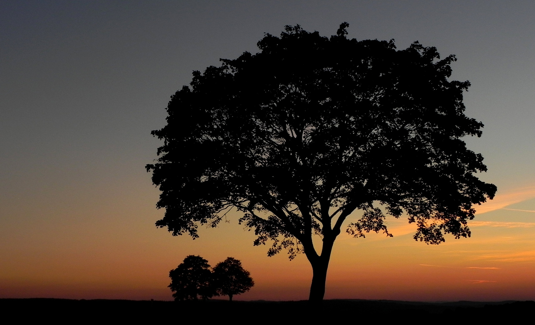 Silhouetten in der Abenddämmerung