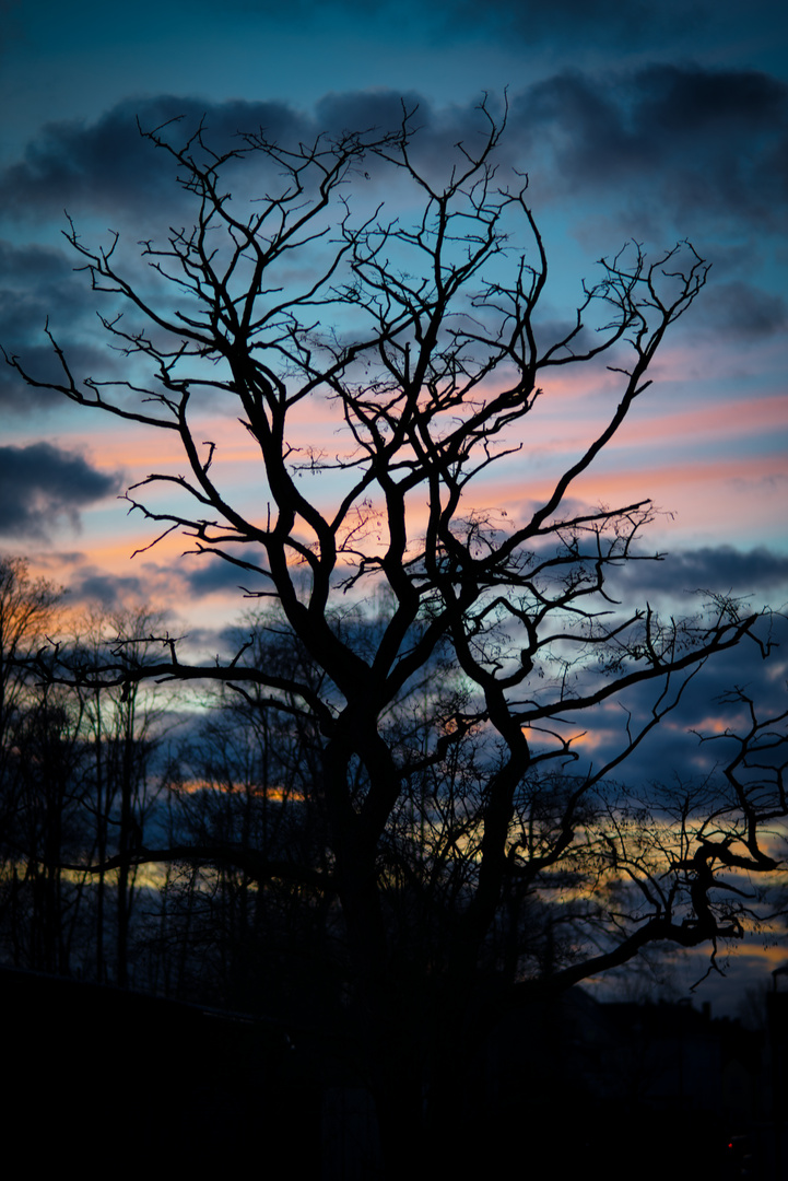 Silhouetten komposition