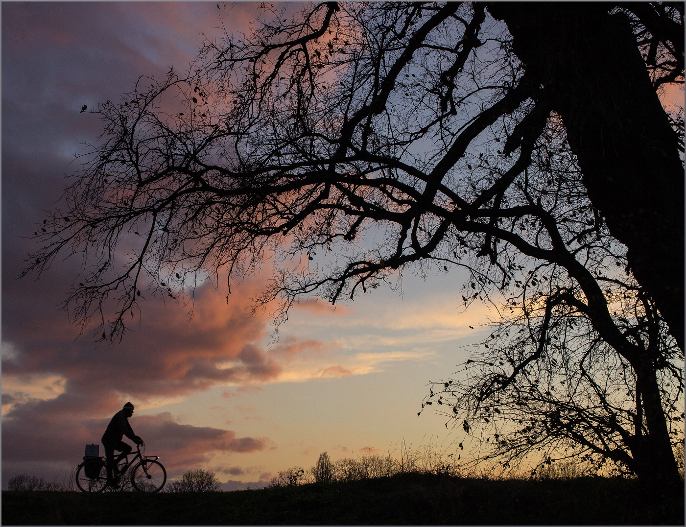 Silhouetten-Spiel