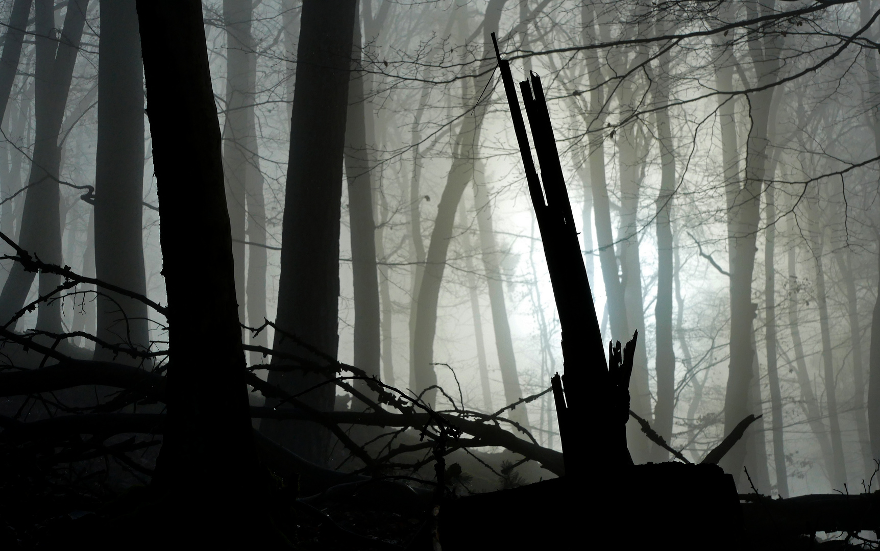 Silhouetten und Licht am Ende des Dunklen