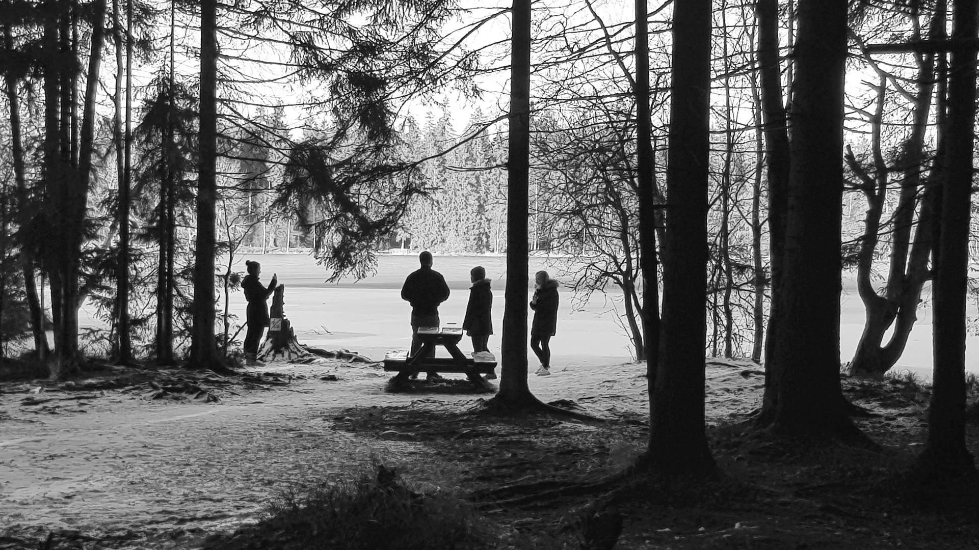   Silhouetten - Winter am See 