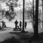   Silhouetten - Winter am See 