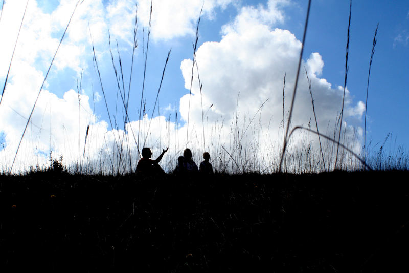 Silhouettes