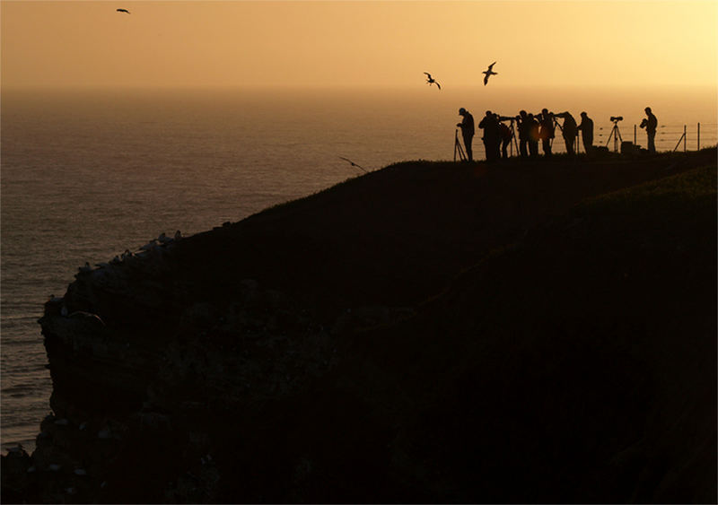 silhouettes