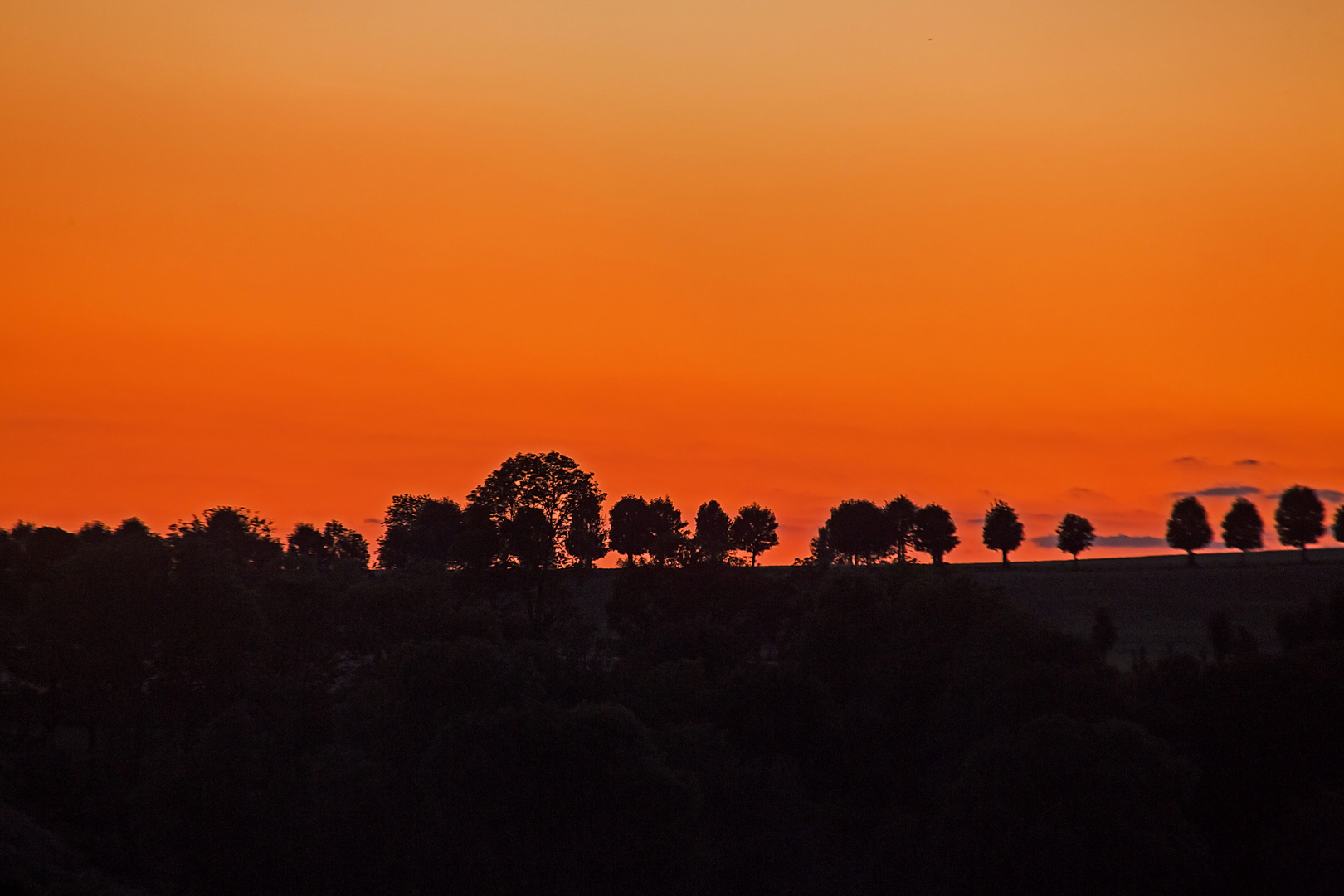 silhouettes .....