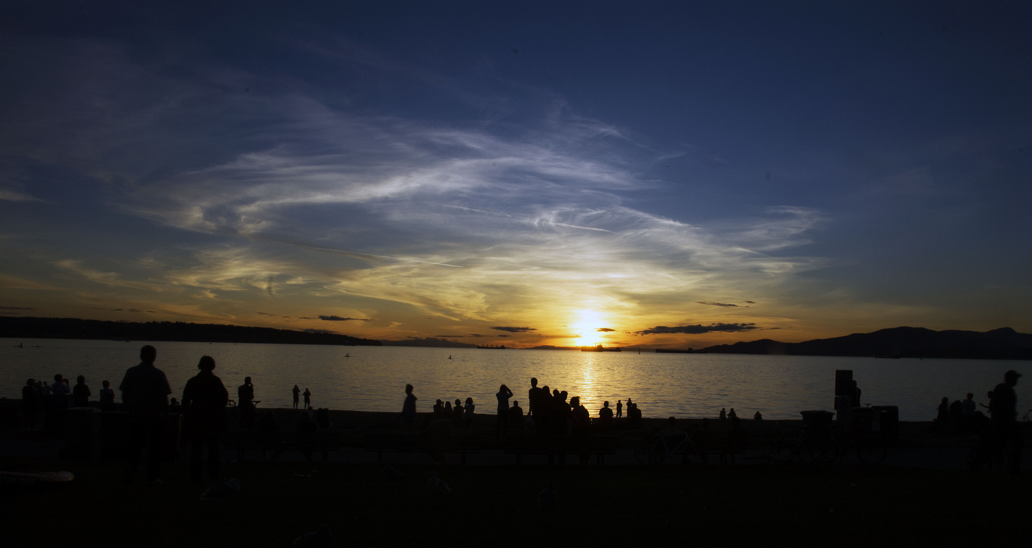 Silhouettes at Dusk