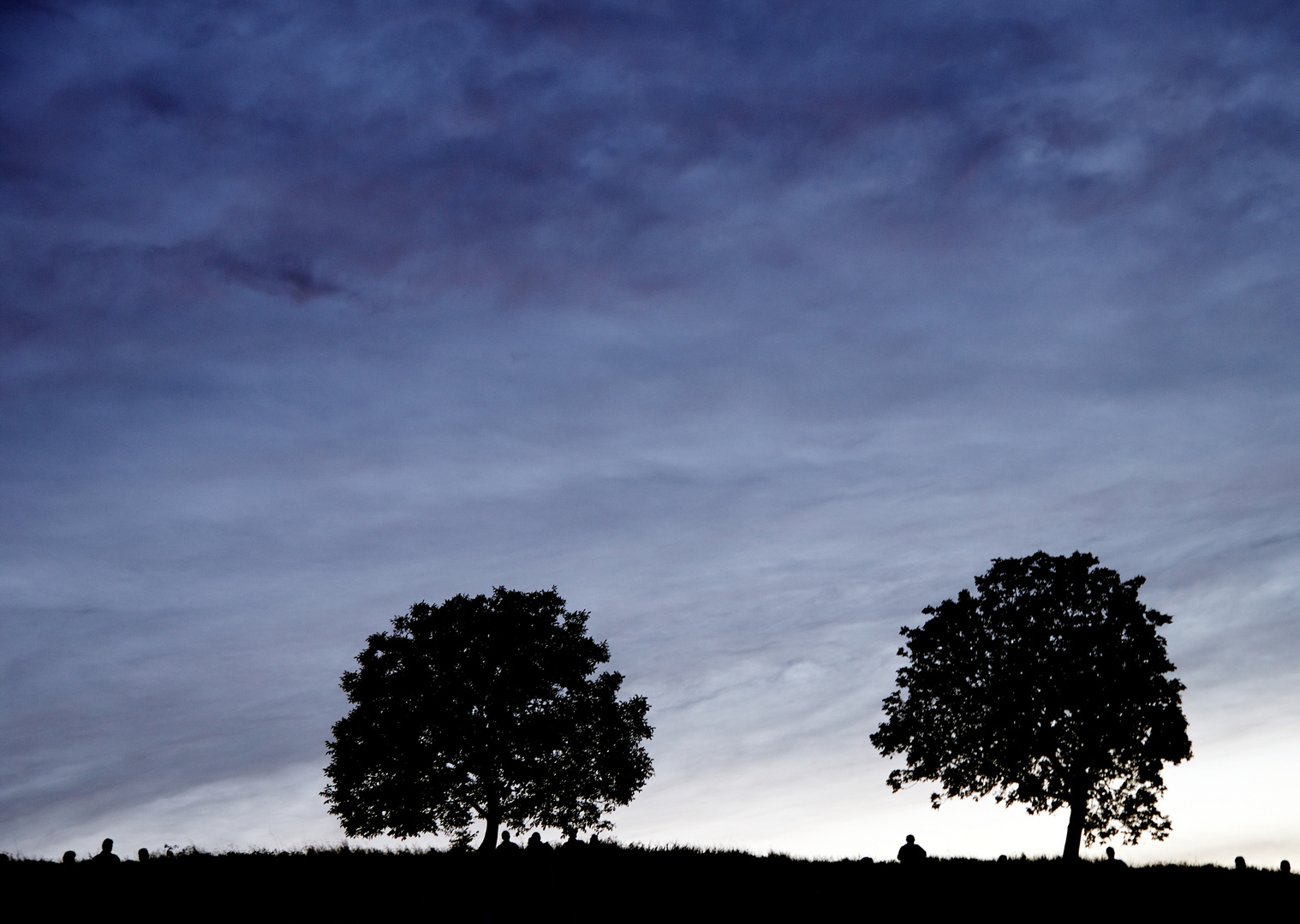 Silhouettes