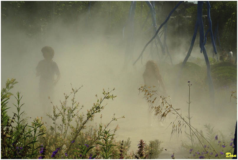 silhouettes dans la brume