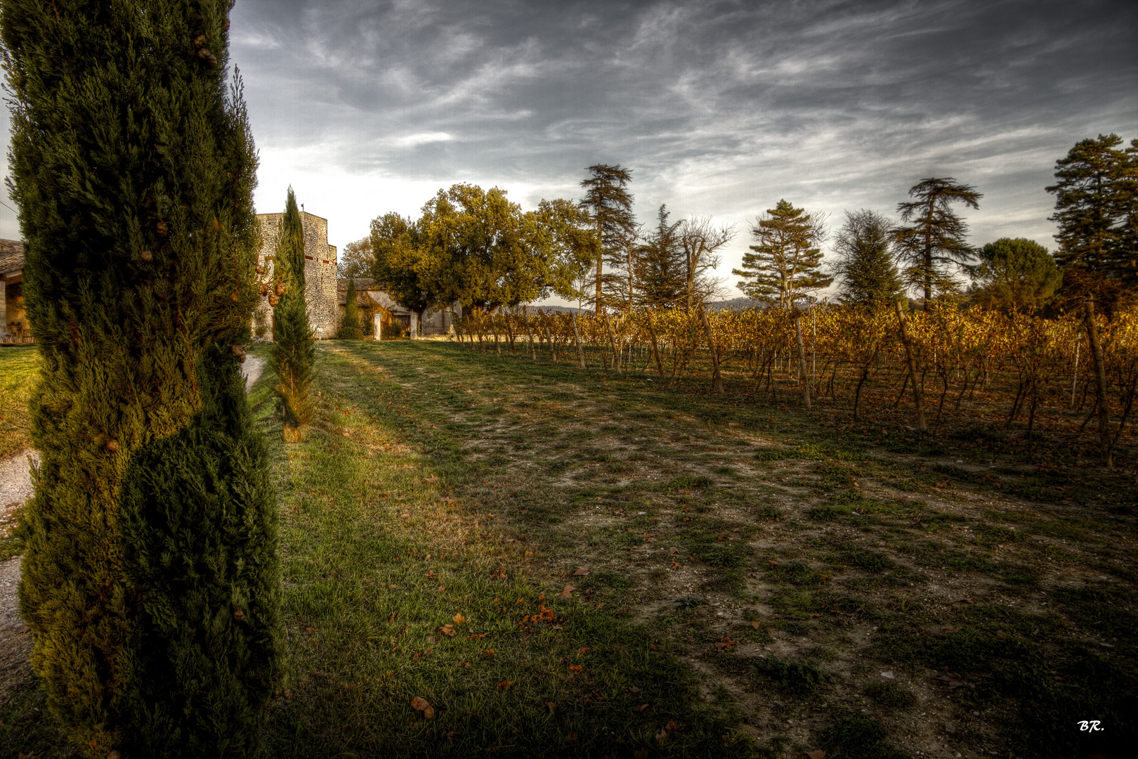 silhouettes d'automne !!!!!