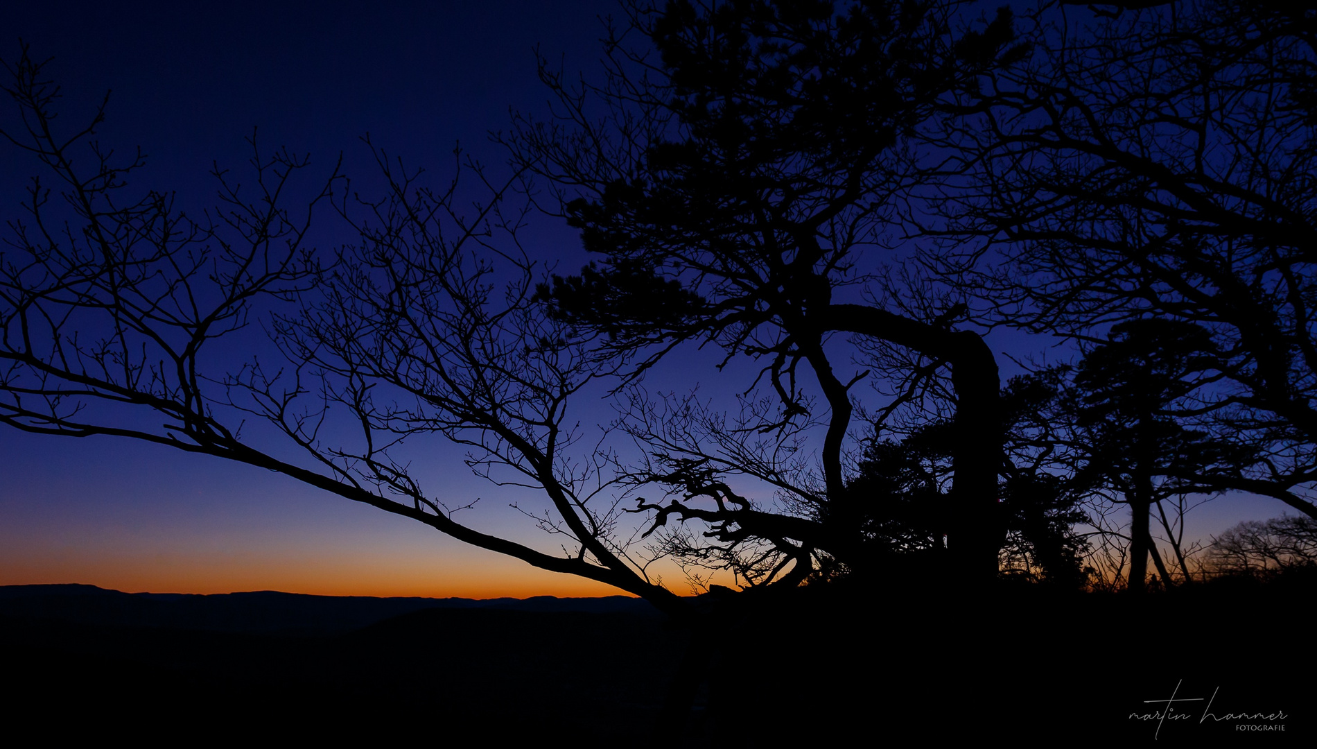 Silhoutte zur "Blauen Stunde"