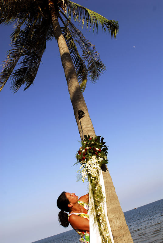 Silke, Palme mit Blumenschmuck und Mond in Hua Hin