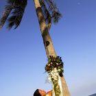 Silke, Palme mit Blumenschmuck und Mond in Hua Hin