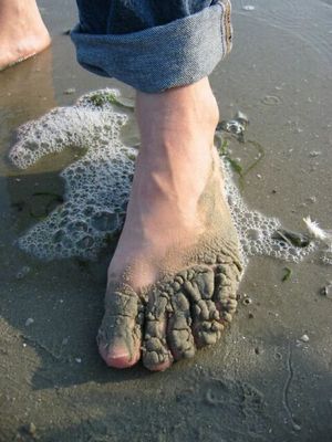 Silkes Linker auf Norderney