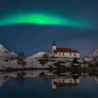 Silkpollness Lofoten