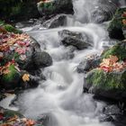 silky watercascades II