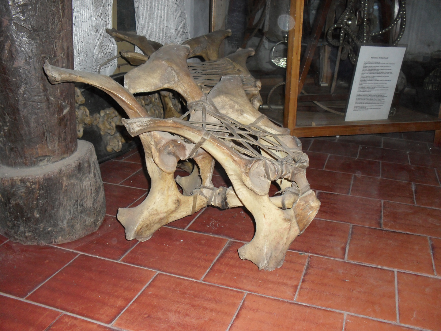 silla formada por huesos vacunos, uso en el campo antiguo