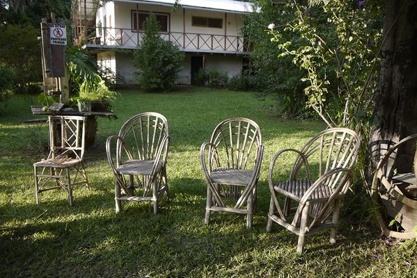 Bosques Imágenes y fotos