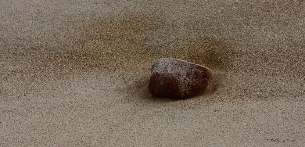 Sillleben am Strand von Sylt