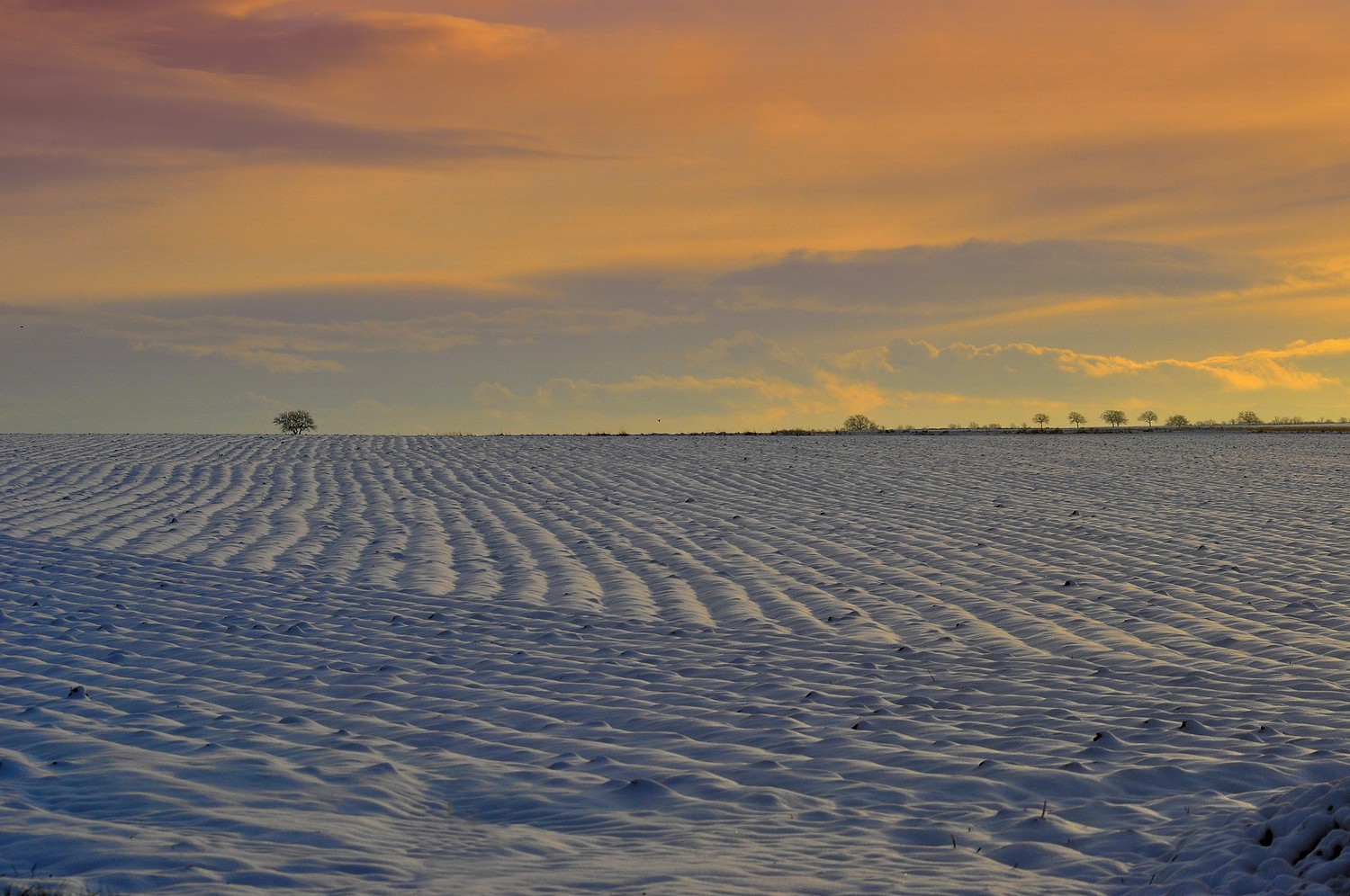 sillons de neige