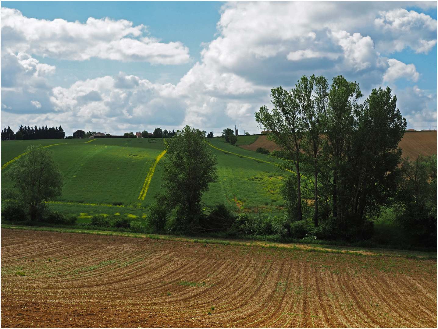 Sillons en Lomagne