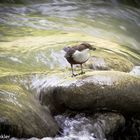 Sillschlucht bei Innsbruck