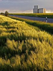 Silo bei Buttstädt/Thür. im Abendlicht