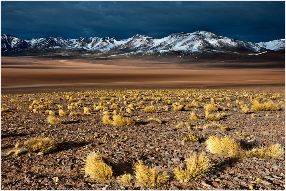 [ Siloli Desert ]