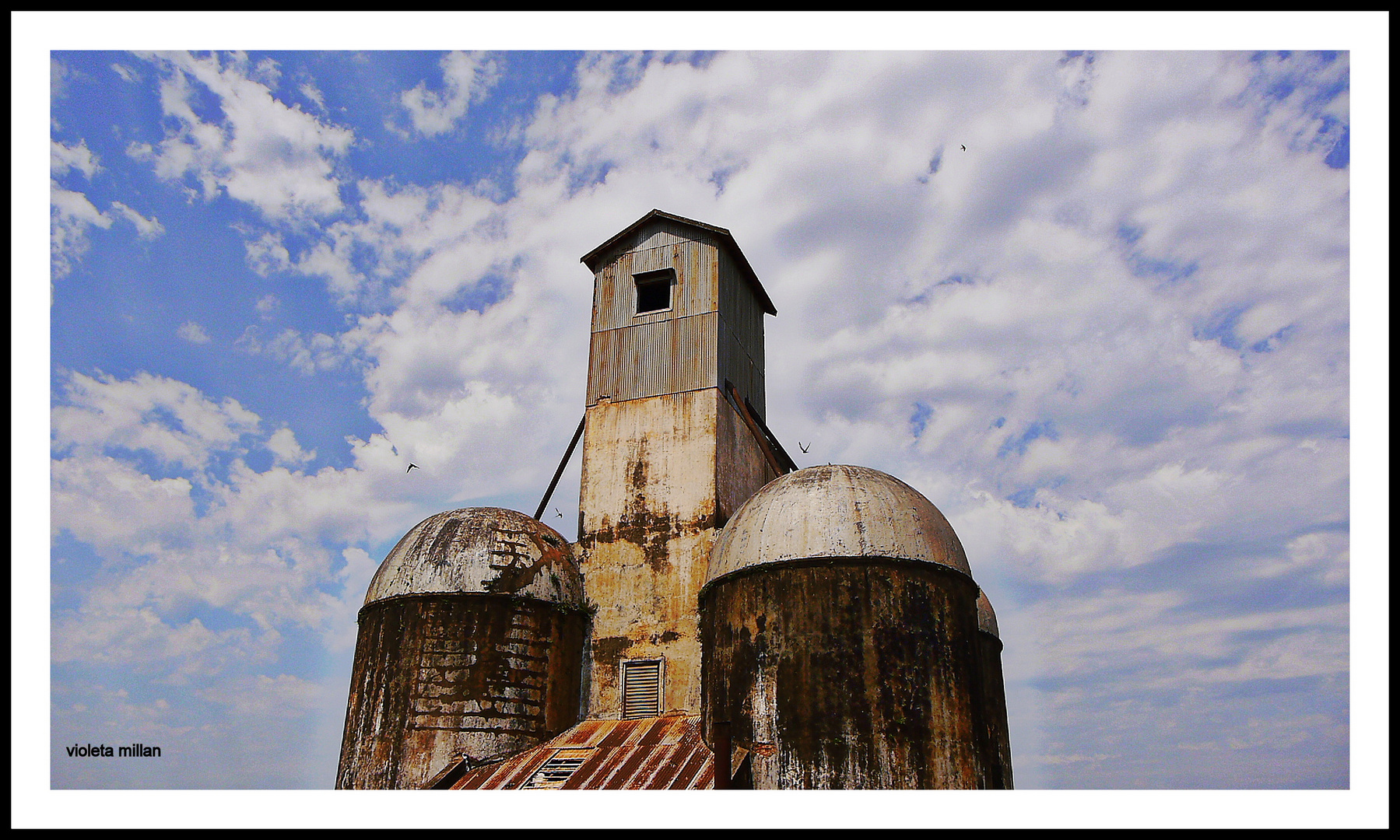 SILOS ANTIGUOS,EN REPARACION