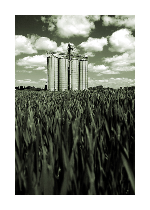 Silos III