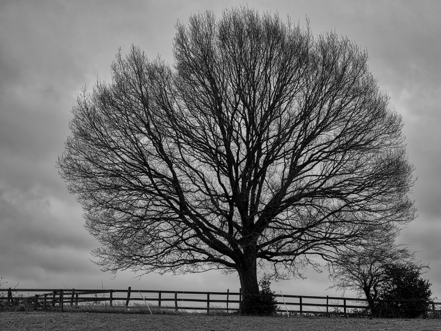 Silouette Foto & Bild landschaften, outdoor, baum Bilder auf