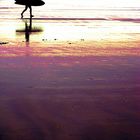 Silouette Surfer