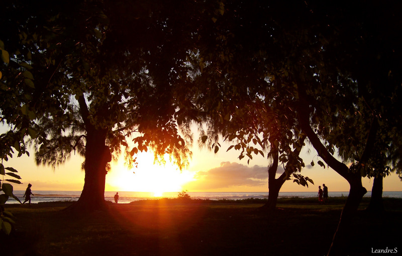 silouhettes au coucher du soleil