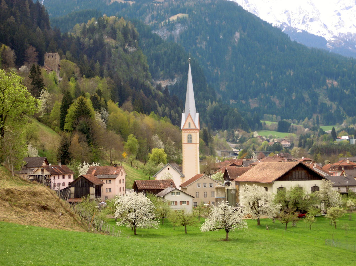 Sils im Domleschg Nr.2