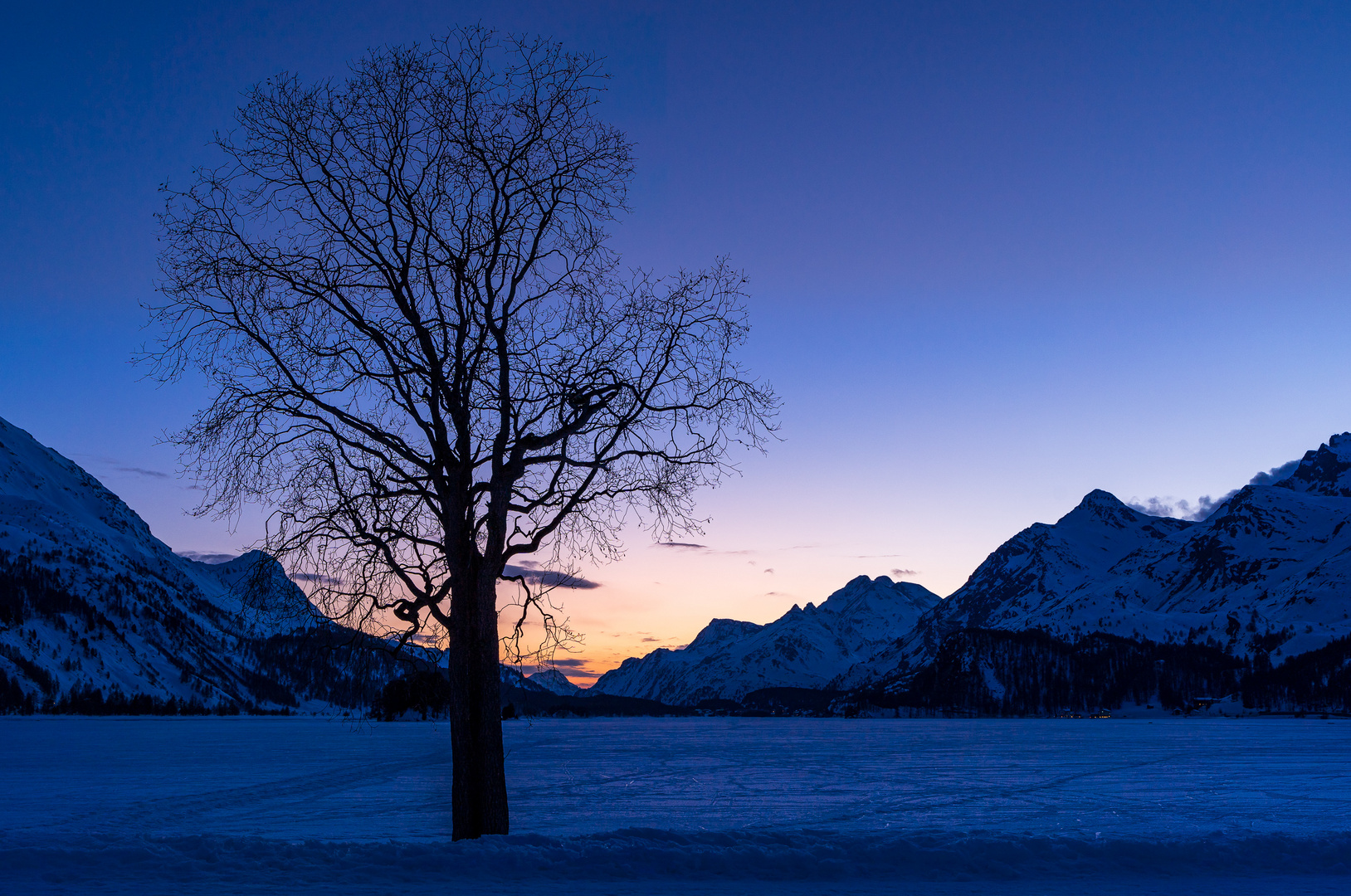 Sils im Engadin