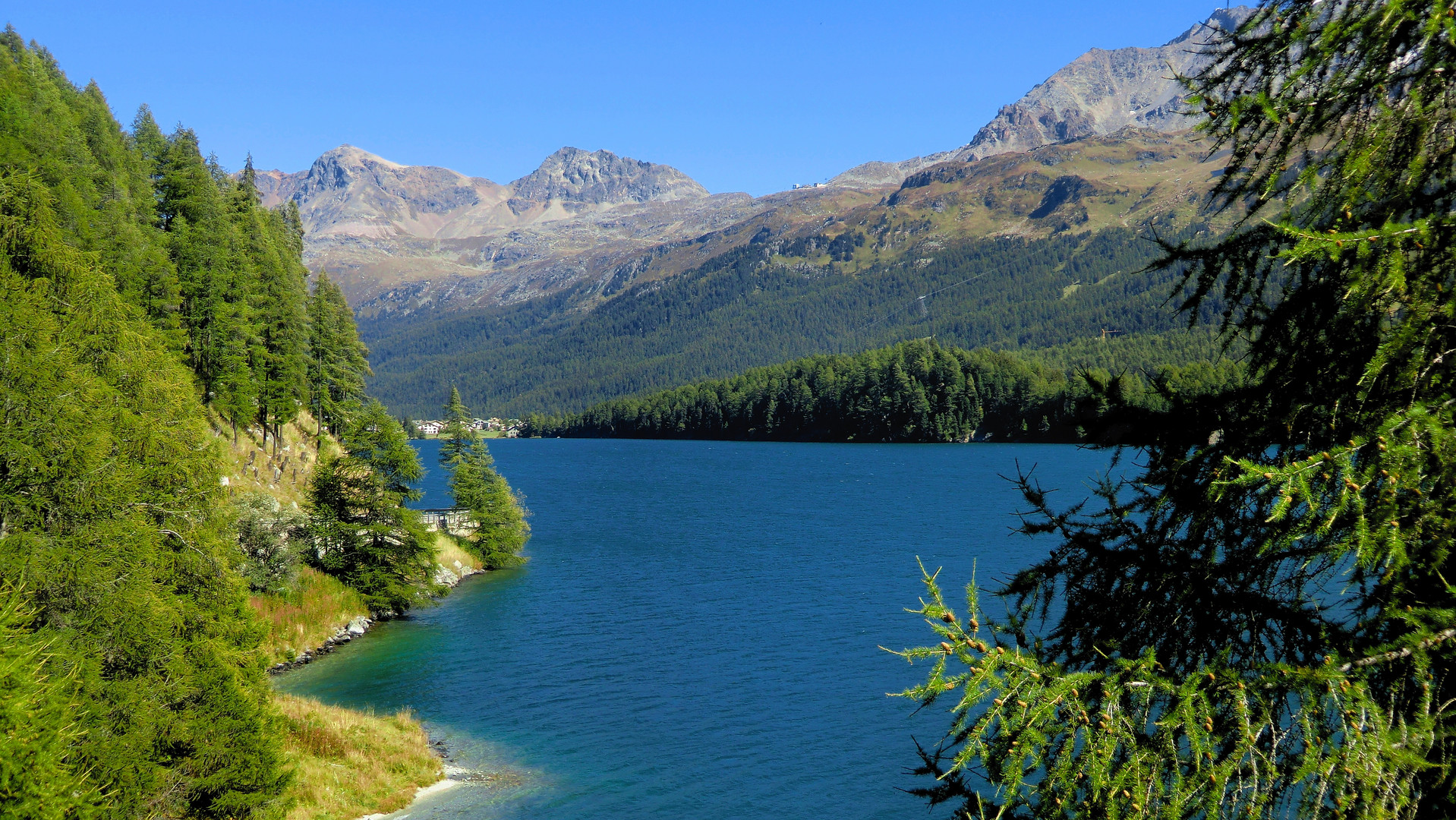 Silser See mit Corvatsch