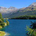 Silser See mit Corvatsch