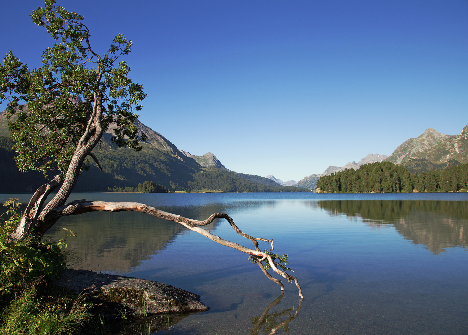 Silsersee