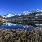 Silsersee (12)