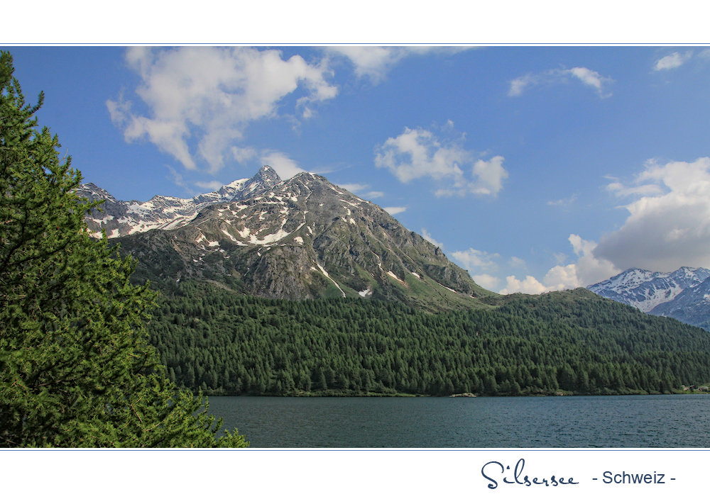 SILSERSEE