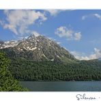 SILSERSEE