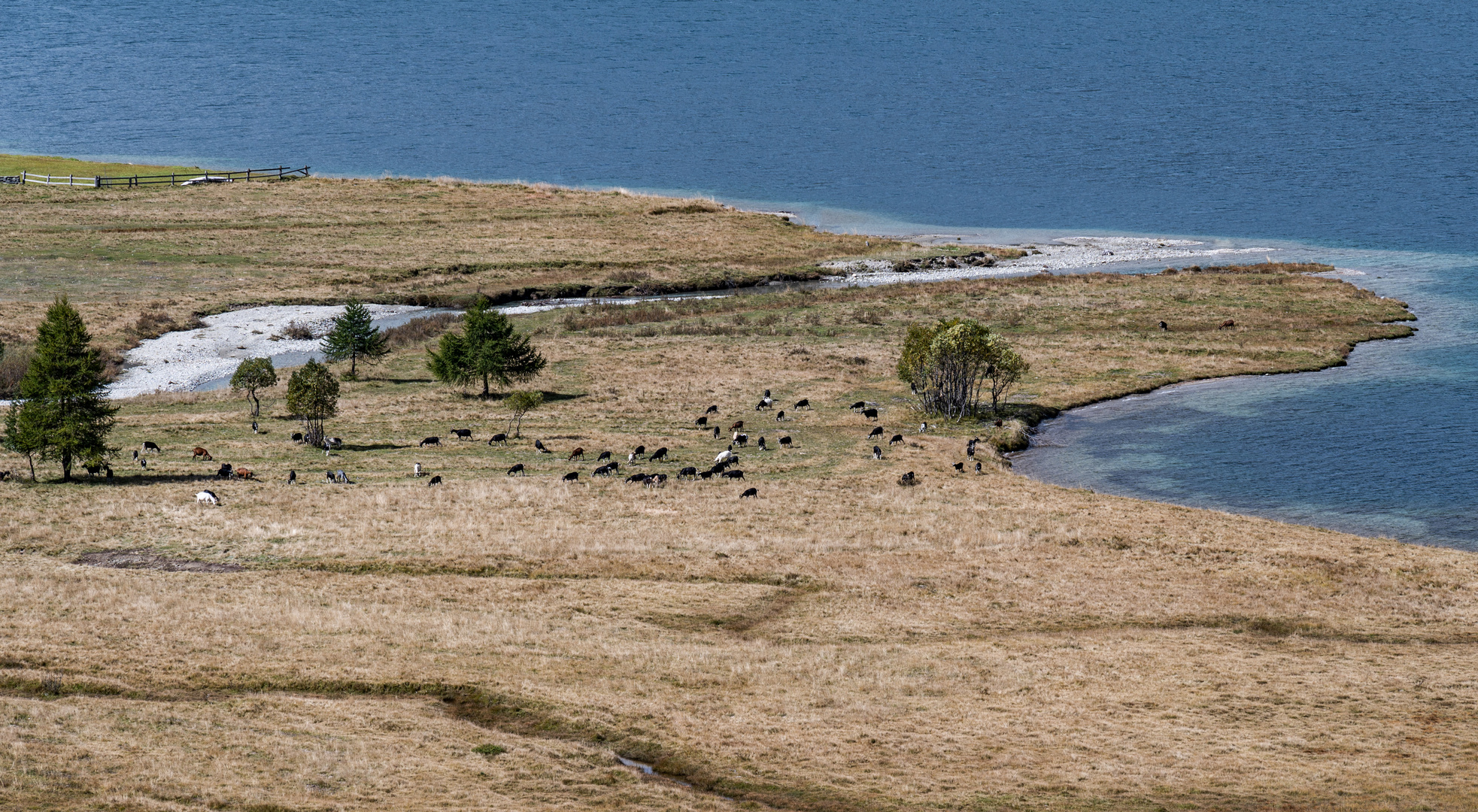 Silsersee