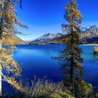 Silsersee - Herbst im Engadin