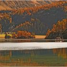 Silsersee im Herbst