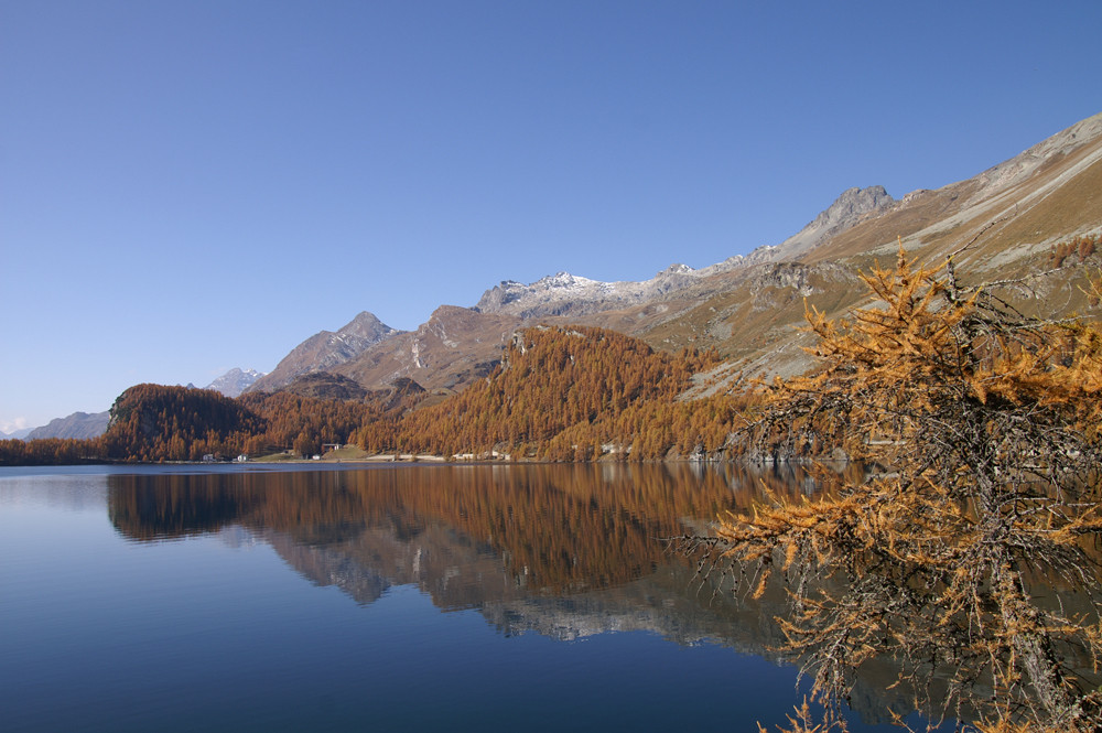 Silsersee im Oktober I