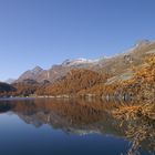 Silsersee im Oktober I