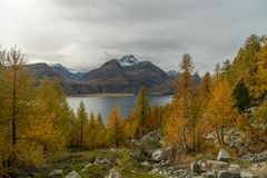 Silsersee mit Blick nach Isola